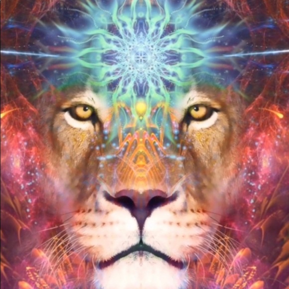 Meet your Posher - Picture 10 of 16